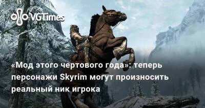 «Мод этого чертового года»: теперь персонажи Skyrim могут произносить реальный ник игрока - vgtimes.ru