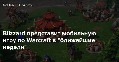 Blizzard представит мобильную игру по Warcraft в "ближайшие недели" - goha.ru