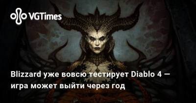 Blizzard уже вовсю тестирует Diablo 4 — игра может выйти через год - vgtimes.ru