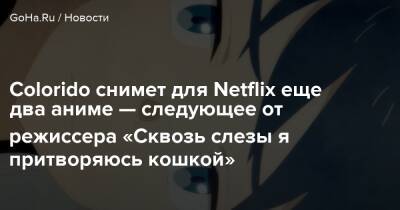 Colorido снимет для Netflix еще два аниме — следующее от режиссера «Сквозь слезы я притворяюсь кошкой» - goha.ru