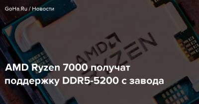 AMD Ryzen 7000 получат поддержку DDR5-5200 с завода - goha.ru