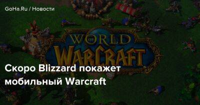 Скоро Blizzard покажет мобильный Warcraft - goha.ru