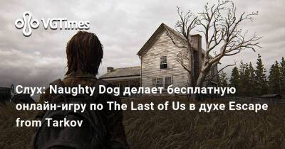 Слух: бесплатная онлайн-игра по The Last of Us напоминает Escape from Tarkov - vgtimes.ru