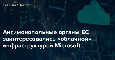 Антимонопольные органы ЕС заинтересовались «облачной» инфраструктурой Microsoft - goha.ru - Евросоюз