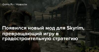 Появился новый мод для Skyrim, превращающий игру в градостроительную стратегию - goha.ru
