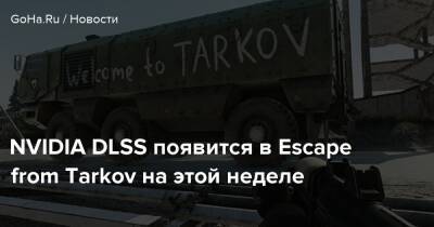Никита Буянов - NVIDIA DLSS появится в Escape from Tarkov на этой неделе - goha.ru