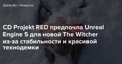 Джейсон Слама - CD Projekt RED предпочла Unreal Engine 5 для новой The Witcher из-за стабильности и красивой технодемки - goha.ru