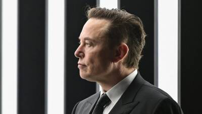 Twitter bevestigt dat ze aan 'Edit Knop' werken nadat Elon Musk in raad van bestuur komt - ru.ign.com