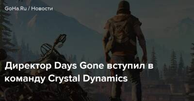 Джефф Росс - Директор Days Gone вступил в команду Crystal Dynamics - goha.ru