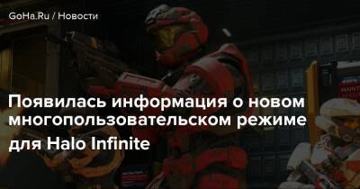 Появилась информация о новом многопользовательском режиме для Halo Infinite - goha.ru