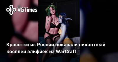 Красотки из России показали пикантный косплей эльфиек из WarCraft - vgtimes.ru - Россия