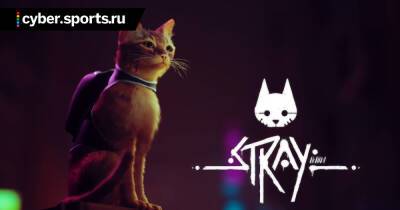 Игра Stray про приключения кота в сеттинге киберпанка получила возрастной рейтинг - cyber.sports.ru