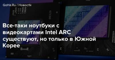 Все-таки ноутбуки с видеокартами Intel ARC существуют, но только в Южной Корее - goha.ru - Южная Корея