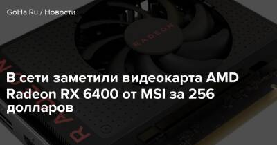 В сети заметили видеокарта AMD Radeon RX 6400 от MSI за 256 долларов - goha.ru - Сингапур