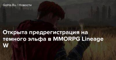 Открыта предрегистрация на темного эльфа в MMORPG Lineage W - goha.ru