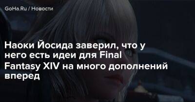 Наоки Йосида - Наоки Йосида заверил, что у него есть идеи для Final Fantasy XIV на много дополнений вперед - goha.ru