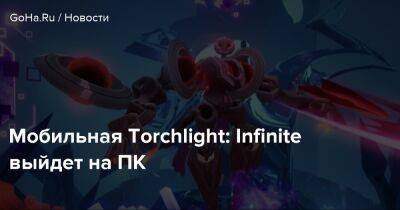 Мобильная Torchlight: Infinite выйдет на ПК - goha.ru