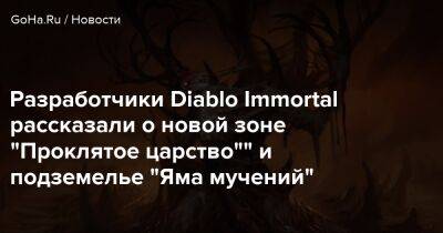 Куинн Райан - Разработчики Diablo Immortal рассказали о новой зоне "Проклятое царство"" и подземелье "Яма мучений" - goha.ru