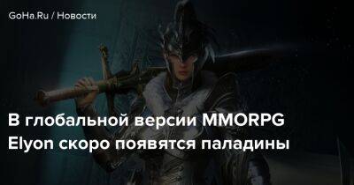 В глобальной версии MMORPG Elyon скоро появятся паладины - goha.ru