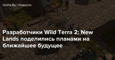 Разработчики Wild Terra 2: New Lands поделились планами на ближайшее будущее - goha.ru