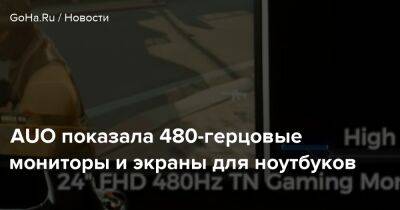 AUO показала 480-герцовые мониторы и экраны для ноутбуков - goha.ru