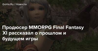 Продюсер MMORPG Final Fantasy XI рассказал о прошлом и будущем игры - goha.ru - Япония