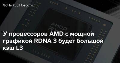 У процессоров AMD с мощной графикой RDNA 3 будет большой кэш L3 - goha.ru - Phoenix