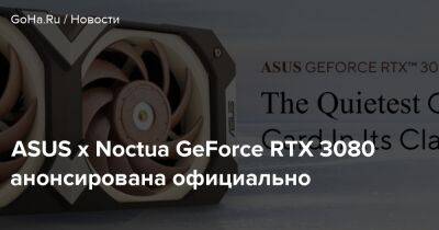 ASUS x Noctua GeForce RTX 3080 анонсирована официально - goha.ru