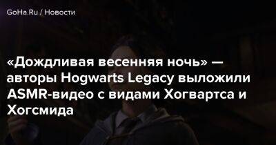 Джоан Роулинг - Wizarding World - Hogwarts Legacy - Дэвид Заслав - «Дождливая весенняя ночь» — авторы Hogwarts Legacy выложили ASMR-видео с видами Хогвартса и Хогсмида - goha.ru