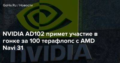 NVIDIA AD102 примет участие в гонке за 100 терафлопс с AMD Navi 31 - goha.ru
