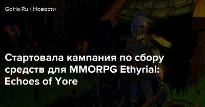 Стартовала кампания по сбору средств для MMORPG Ethyrial: Echoes of Yore - goha.ru