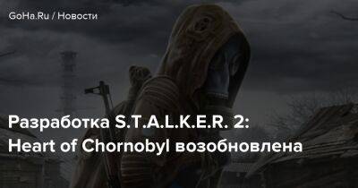 Разработка S.T.A.L.K.E.R. 2: Heart of Chornobyl возобновлена - goha.ru - Украина