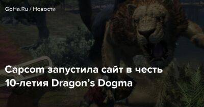Хидеаки Ицуно - Capcom запустила сайт в честь 10-летия Dragon’s Dogma - goha.ru