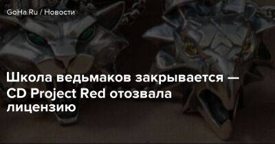 Школа ведьмаков закрывается — CD Project Red отозвала лицензию - goha.ru
