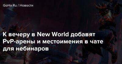 К вечеру в New World добавят PvP-арены и местоимения в чате для небинаров - goha.ru