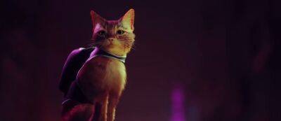 В PSN появилась возможная дата релиза Stray — консольного эксклюзива PlayStation про бродячего кота в мире киберпанка - gamemag.ru