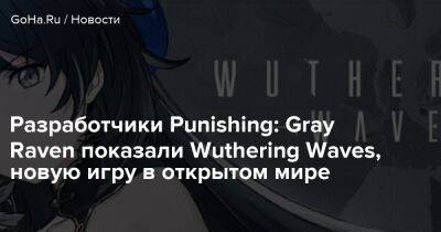 Gray Raven - Kuro Game - Разработчики Punishing: Gray Raven показали Wuthering Waves, новую игру в открытом мире - goha.ru