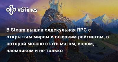 В Steam вышла олдскульная RPG с открытым миром и высоким рейтингом, в которой можно стать магом, вором, наемником и не только - vgtimes.ru