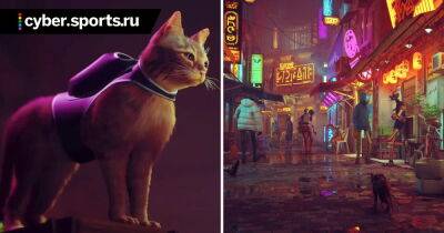 Игра про кота в мире киберпанка Stray выйдет 19 июля (PlayStation Game Size) - cyber.sports.ru - Южная Корея