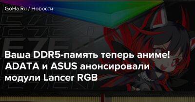 Ваша DDR5-память теперь аниме! ADATA и ASUS анонсировали модули Lancer RGB - goha.ru