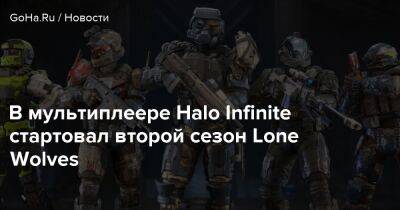 В мультиплеере Halo Infinite стартовал второй сезон Lone Wolves - goha.ru