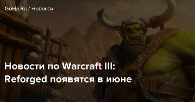 Майк Ибарра - Новости по Warcraft III: Reforged появятся в июне - goha.ru