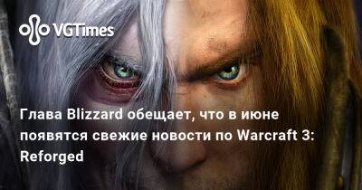 Майк Ибарры (Mike Ybarra) - Глава Blizzard обещает, что в июне появятся свежие новости по Warcraft 3: Reforged - vgtimes.ru - Россия