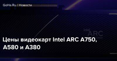 Цены видеокарт Intel ARC A750, A580 и A380 - goha.ru - Тайвань