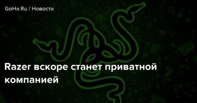 Razer вскоре станет приватной компанией - goha.ru