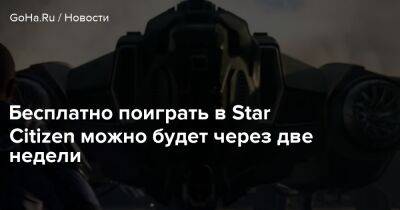 Бесплатно поиграть в Star Citizen можно будет через две недели - goha.ru