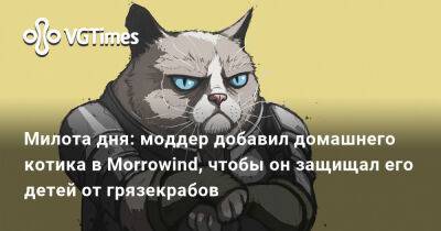 Тоби Магуайр (Tobey Maguire) - Милота дня: моддер добавил домашнего котика в Morrowind, чтобы он защищал его детей от грязекрабов - vgtimes.ru