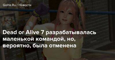 Team Ninja - Dead or Alive 7 разрабатывалась маленькой командой, но, вероятно, была отменена - goha.ru