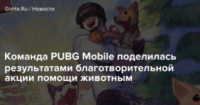 Команда PUBG Mobile поделилась результатами благотворительной акции помощи животным - goha.ru - Россия