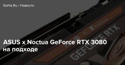 ASUS x Noctua GeForce RTX 3080 на подходе - goha.ru